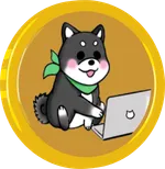 Shibajukuのキャラクターシバたんがデザインされたコイン