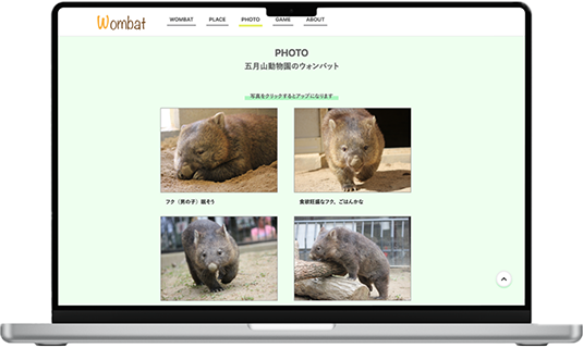 愛らしいウォンバットの姿を一覧できる、写真が並んだフォトギャラリーページ