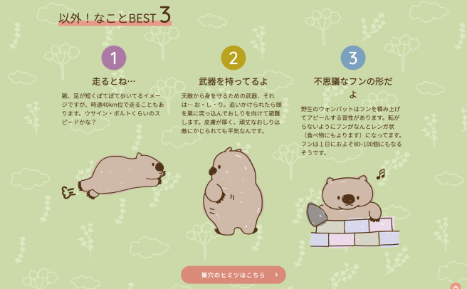 手書きイラストで描かれた、ウォンバットの意外な生態を紹介するトップページセクション