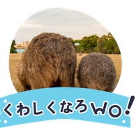 くわしくなろwo！