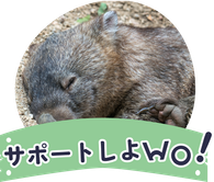 サポートしよwO！