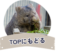 topに戻る