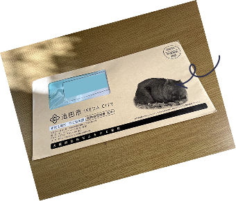 寄付金証明書封筒の表面。ウォンバットの写真が掲載されている。