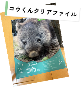 コウくんクリアファイル